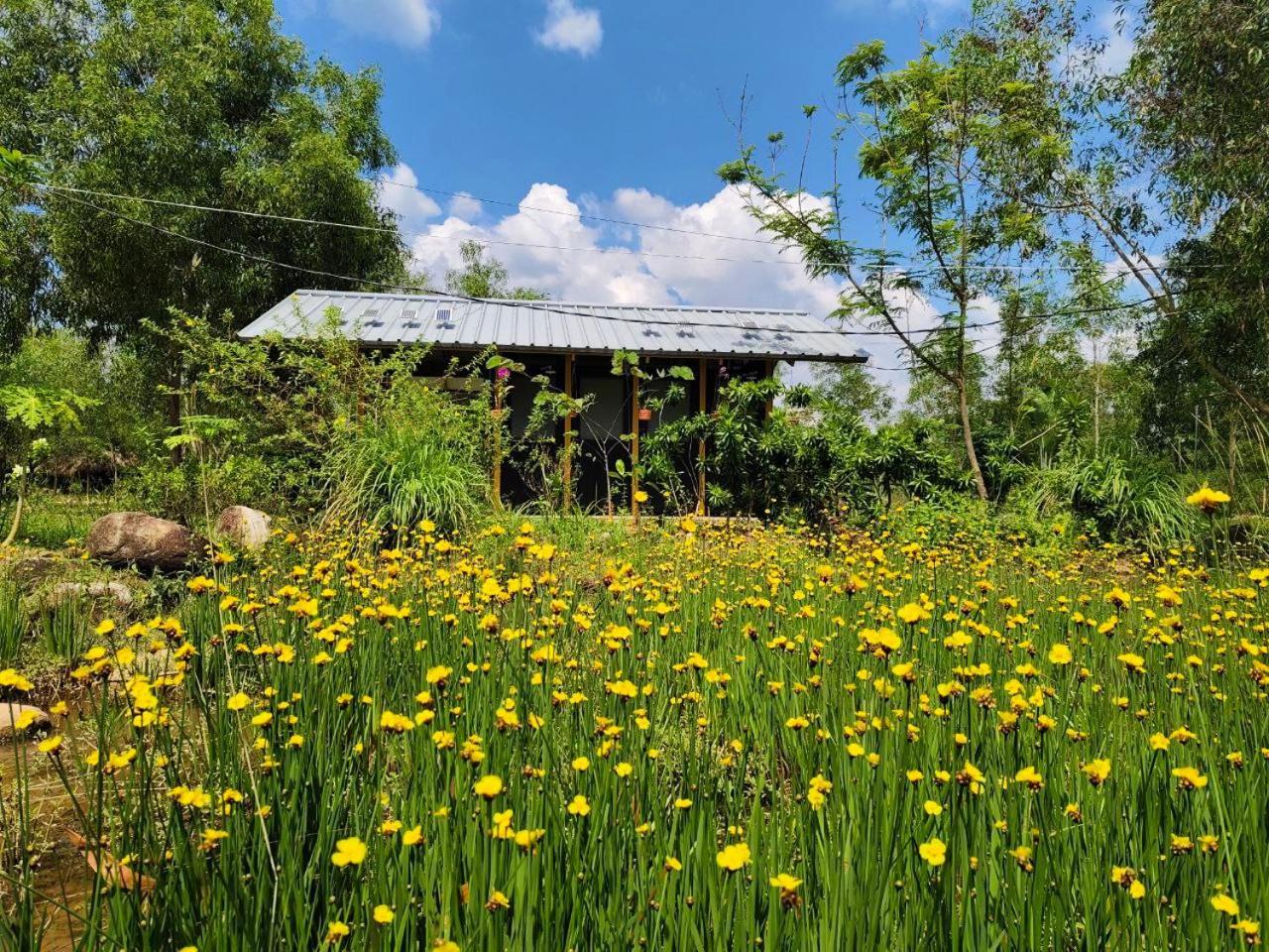 Kampot Camping - Eco Retreat 외부 사진